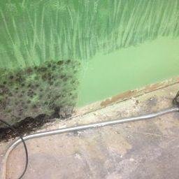 3 Lions Restoration building