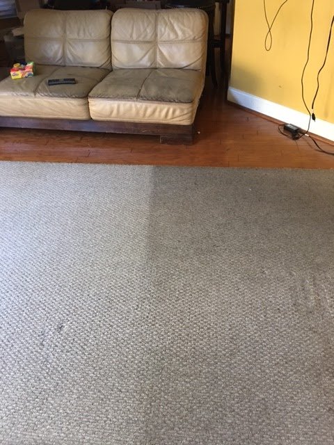 Action Clean building