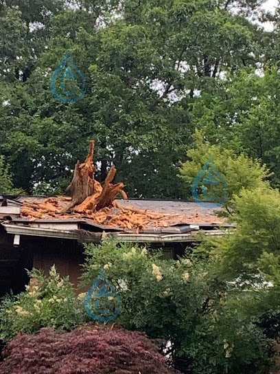 D&B Restoration Services logo