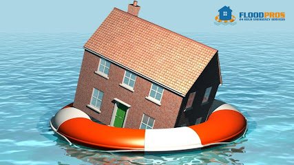 Flood Pros of Marietta logo