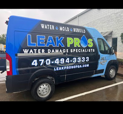 Leak Pros Of Georgia logo