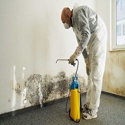 Metro Water Damage Restoration logo