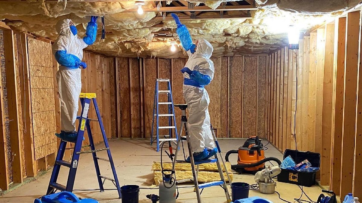 Mold Experts building