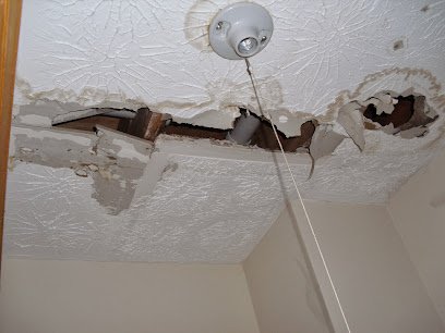 The Dry Warriors logo