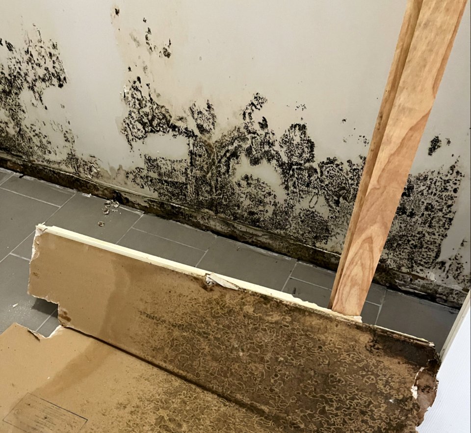 The Kings of Mold building