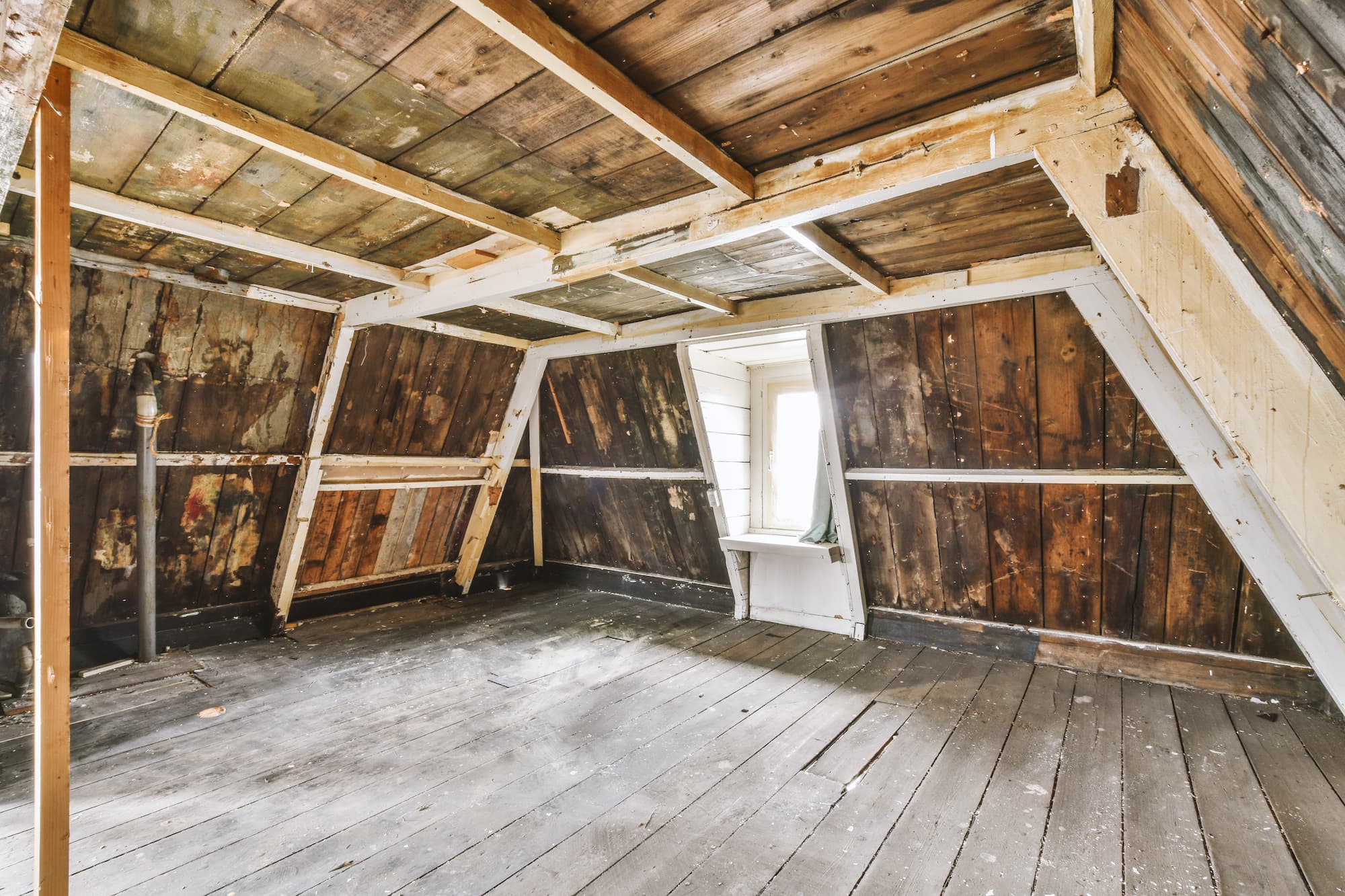 Attic Mold Removal