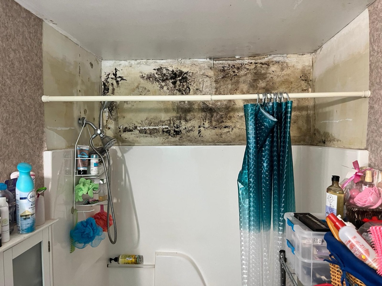 Bathroom Mold Removal