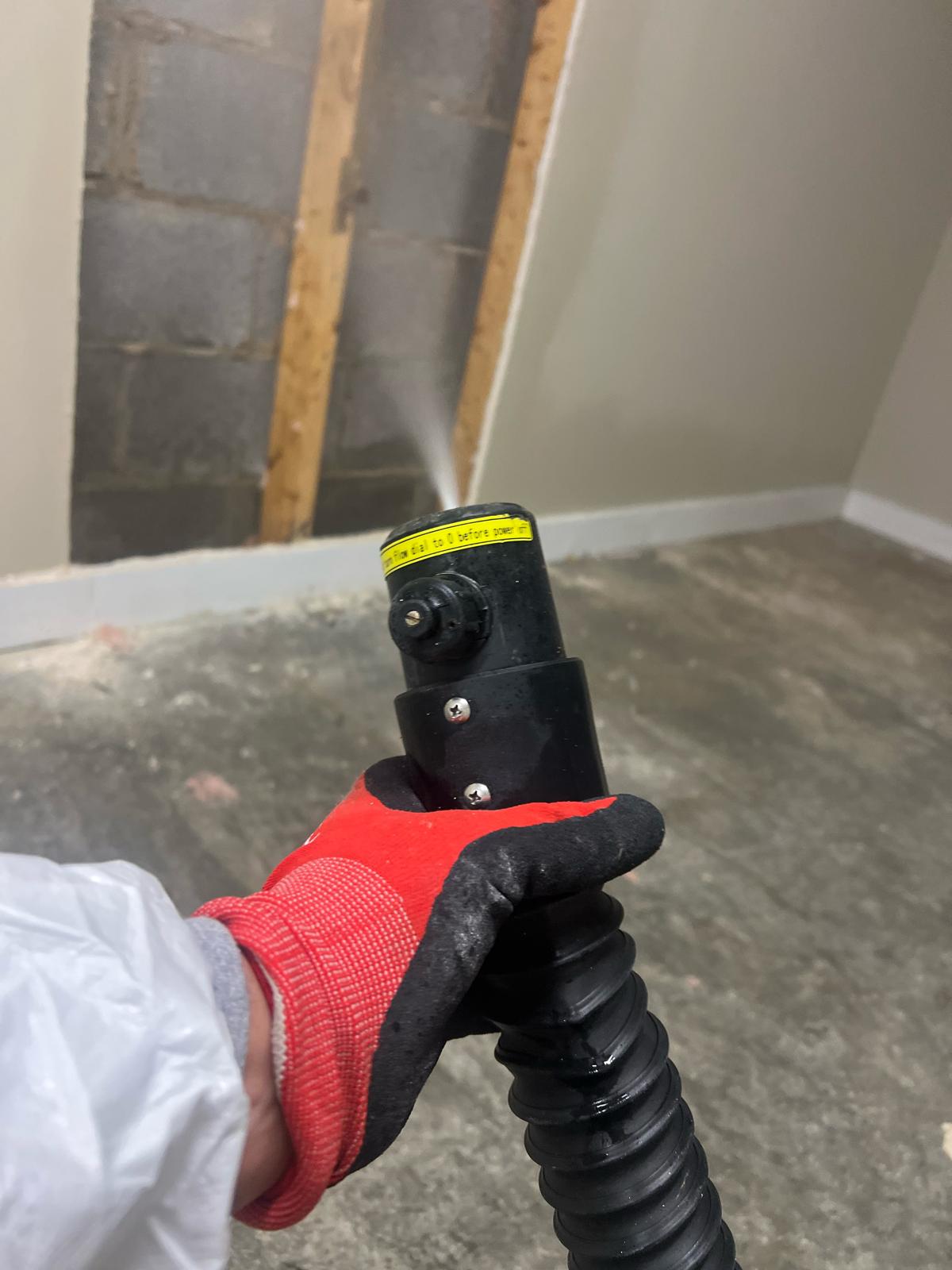Black Mold Removal